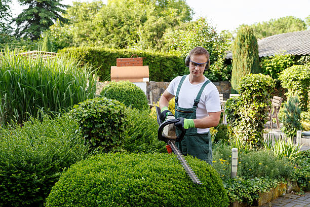 Best Tree and Shrub Care  in Lden, MA